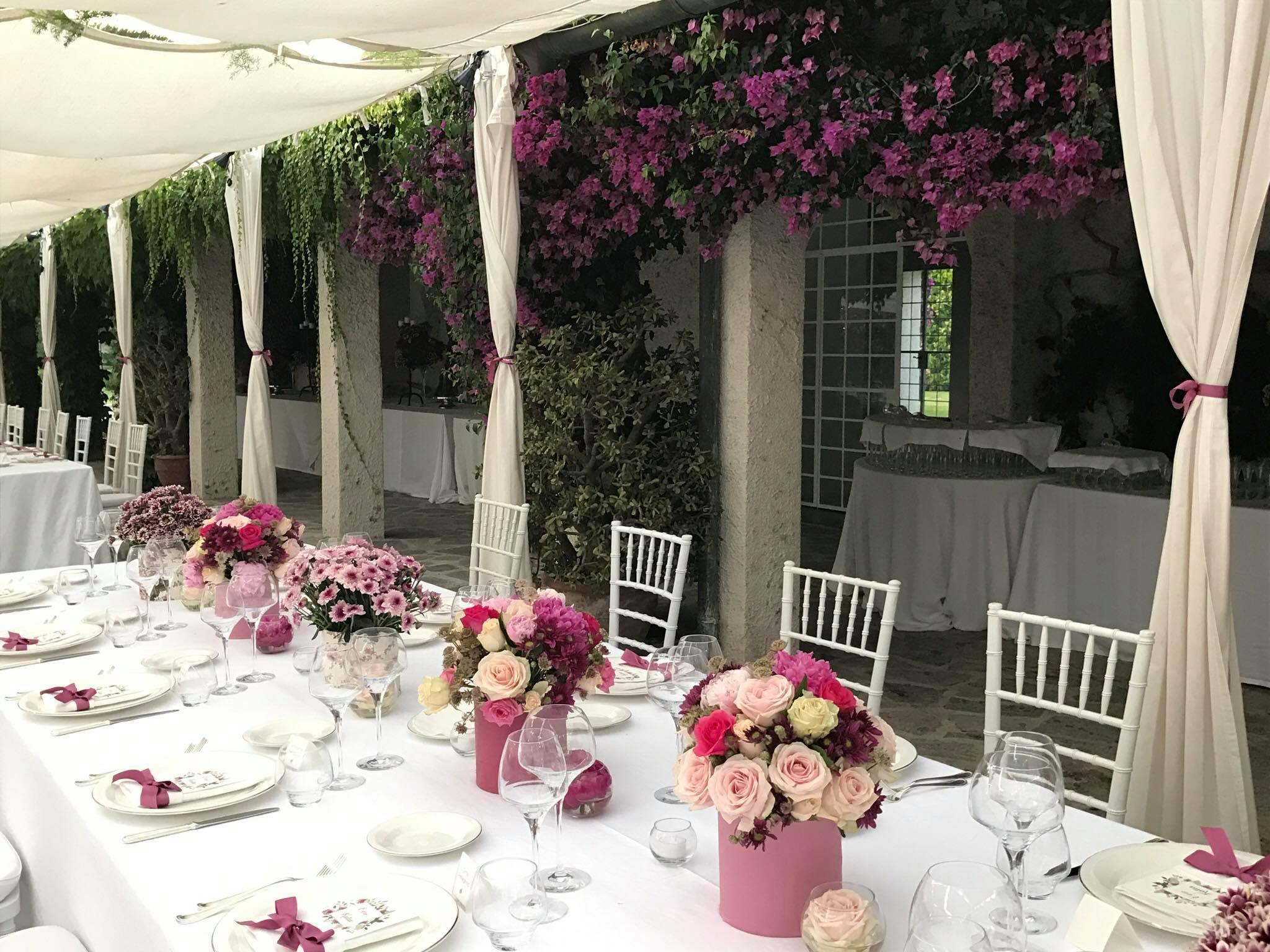 Tenuta Tana Di Volpe Via Provinciale 19 Matinella Di Albanella Salerno 