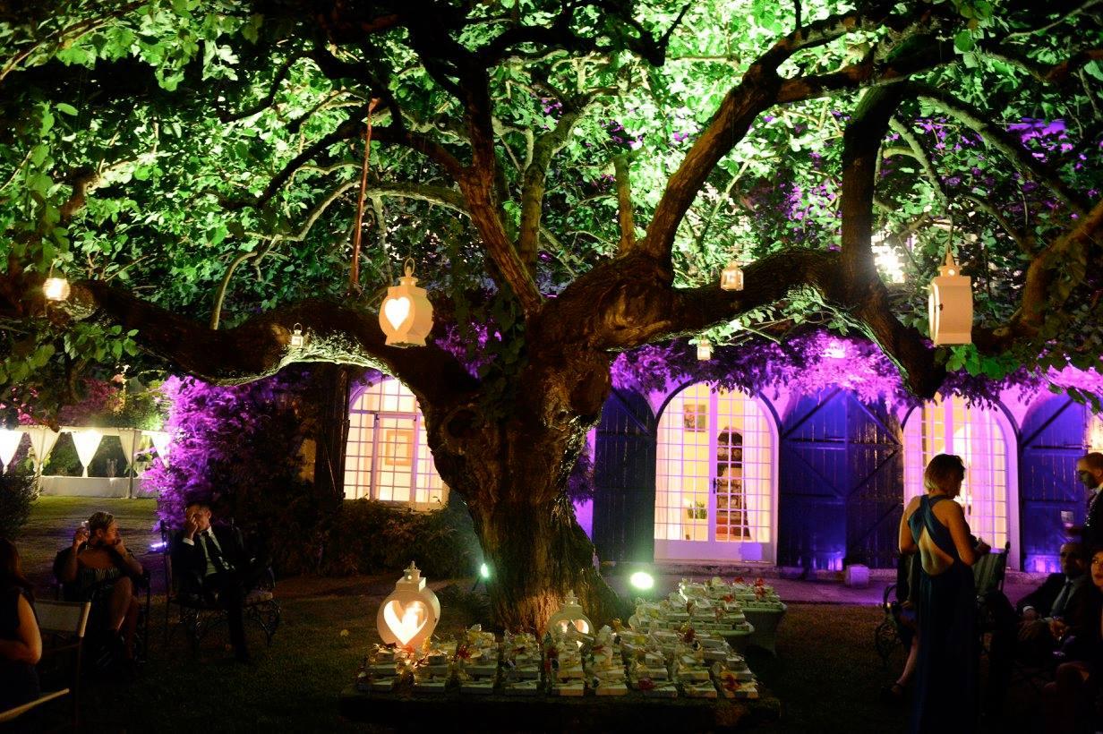 Tenuta Tana Di Volpe Via Provinciale 19 Matinella Di Albanella Salerno 